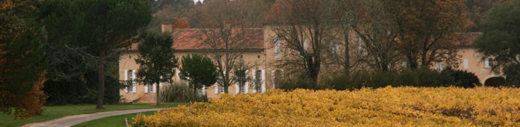 photo_vignoble01.jpg