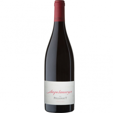 Ampéloméryx rouge
