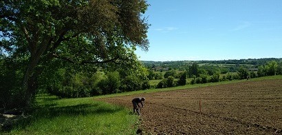 6 MAI : Patiente, ça pousse ...