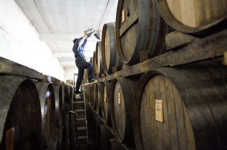 Pruning and tooling are the main important activities of the beginning of the year at Pellehaut ! 