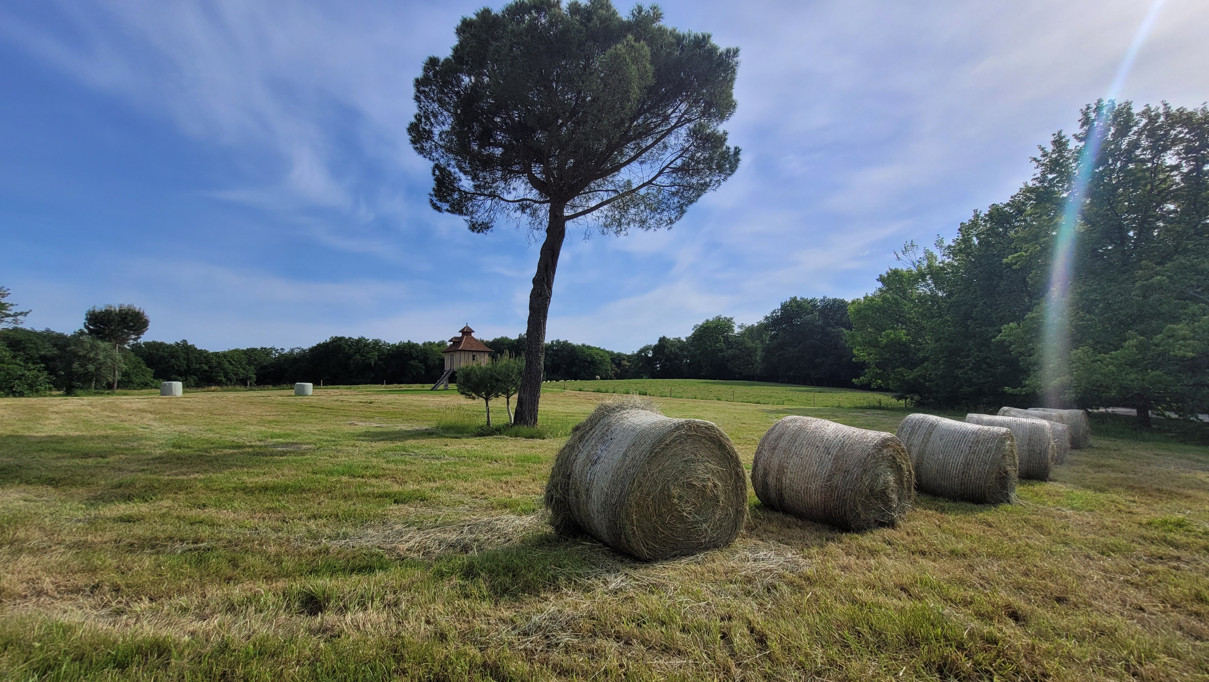 La saison des foins a commencé !