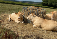 Une agriculture durable