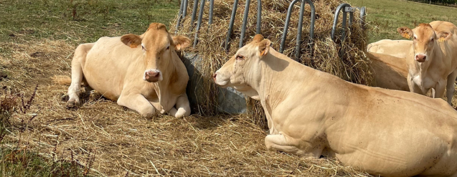 Une agriculture durable