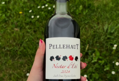 ALERTE NOUVEAUTÉ : NECTAR d'ÉTÉ