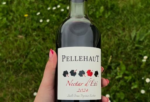 ALERTE NOUVEAUTÉ : NECTAR d'ÉTÉ
