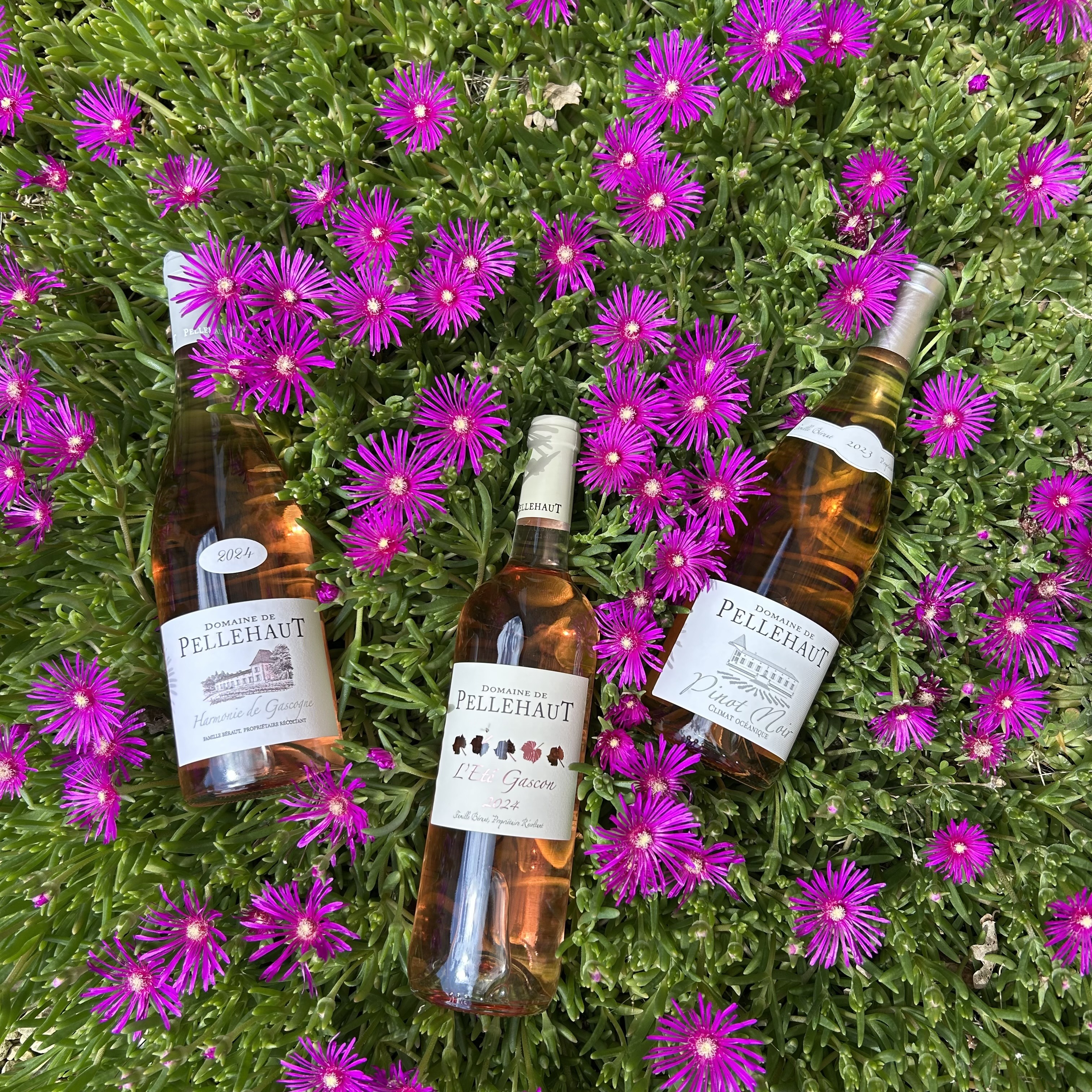 Idée cadeau fête des mères !