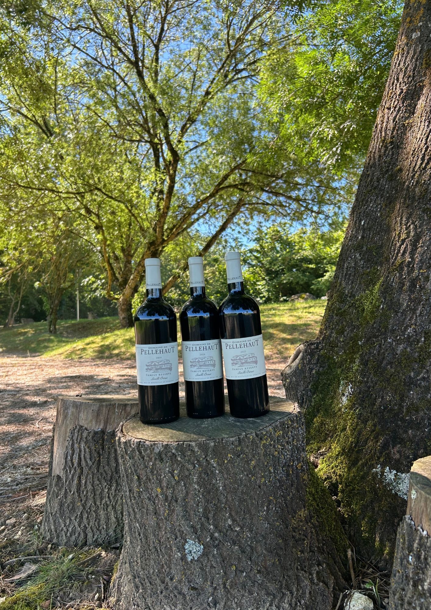 Idée cadeau Fête des Pères ! 