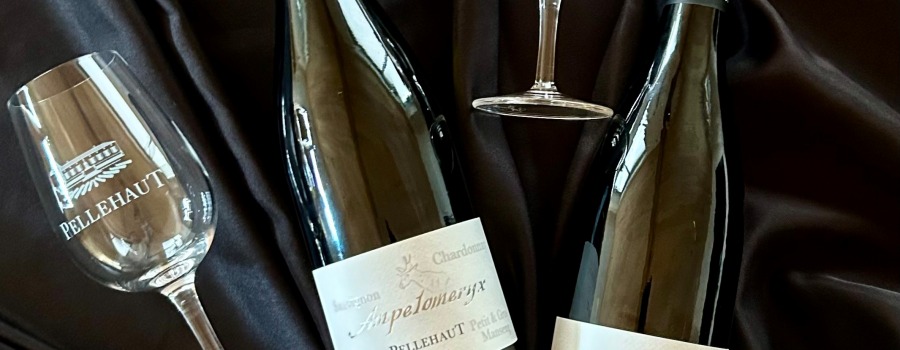 Nouveau look pour notre gamme Ampéloméryx !