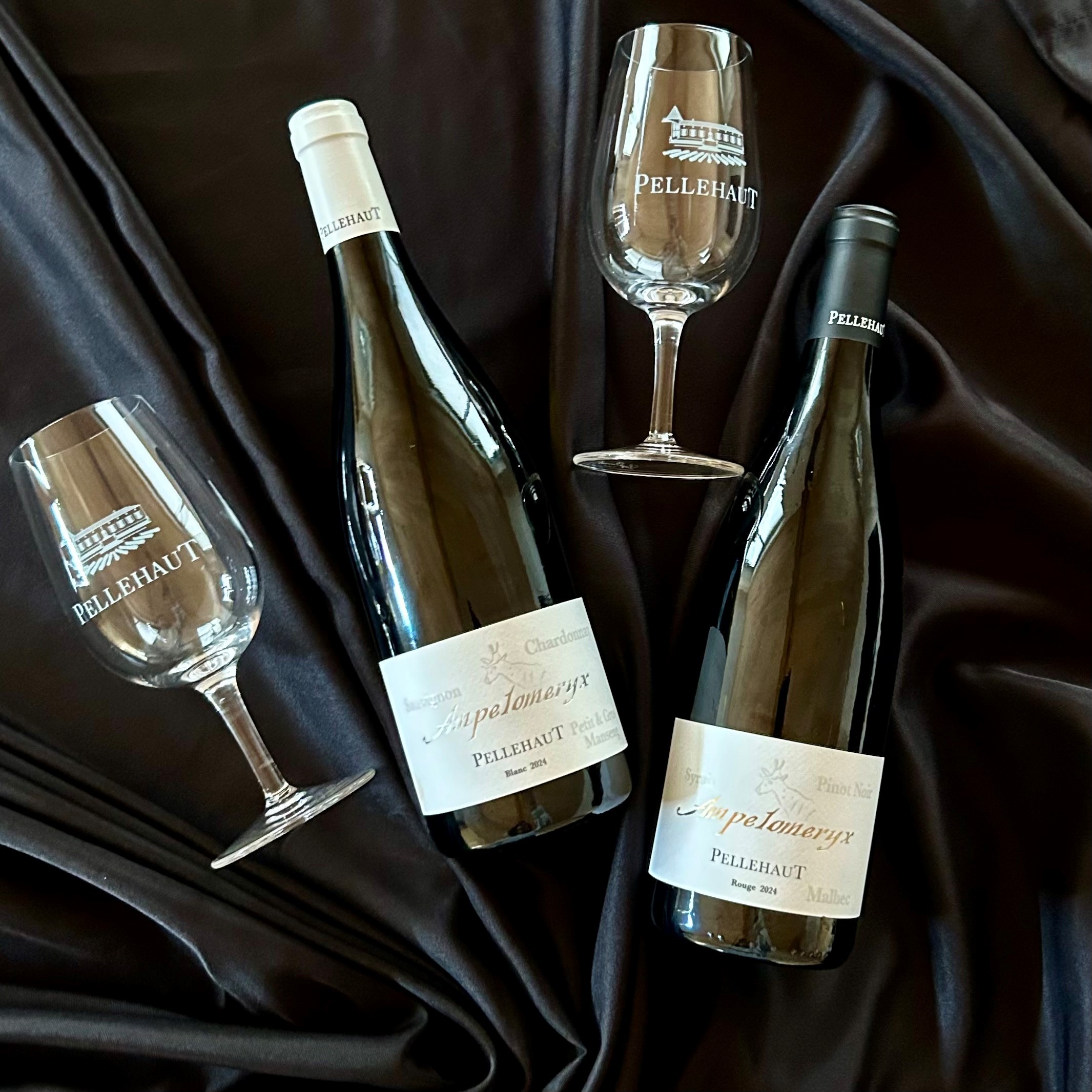 Nouveau look pour notre gamme Ampéloméryx !