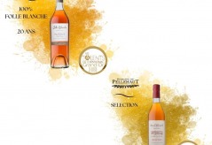 Une fin d'année 2025 et un début 2026 riches en belles récompenses ! 