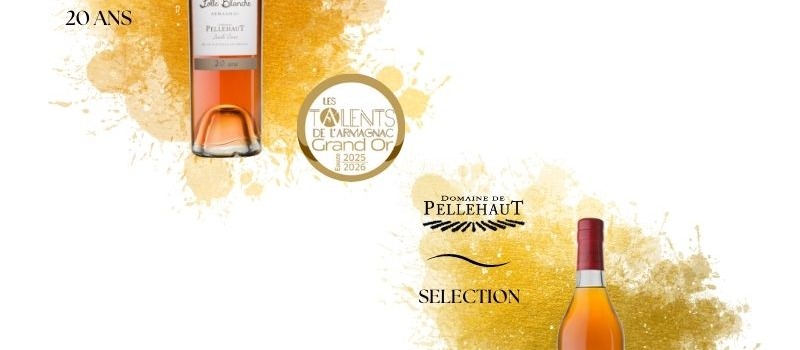 Une fin d'année 2025 et un début 2026 riches en belles récompenses ! 