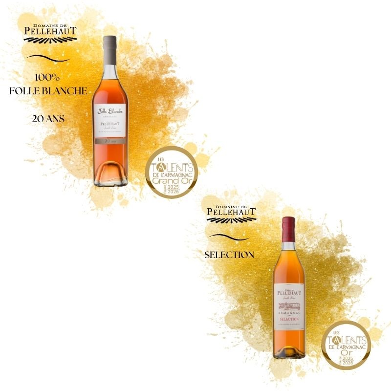 Une fin d'année 2025 et un début 2026 riches en belles récompenses ! 