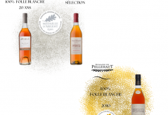 Résultats du Concours Général Agricole de Paris 2026!