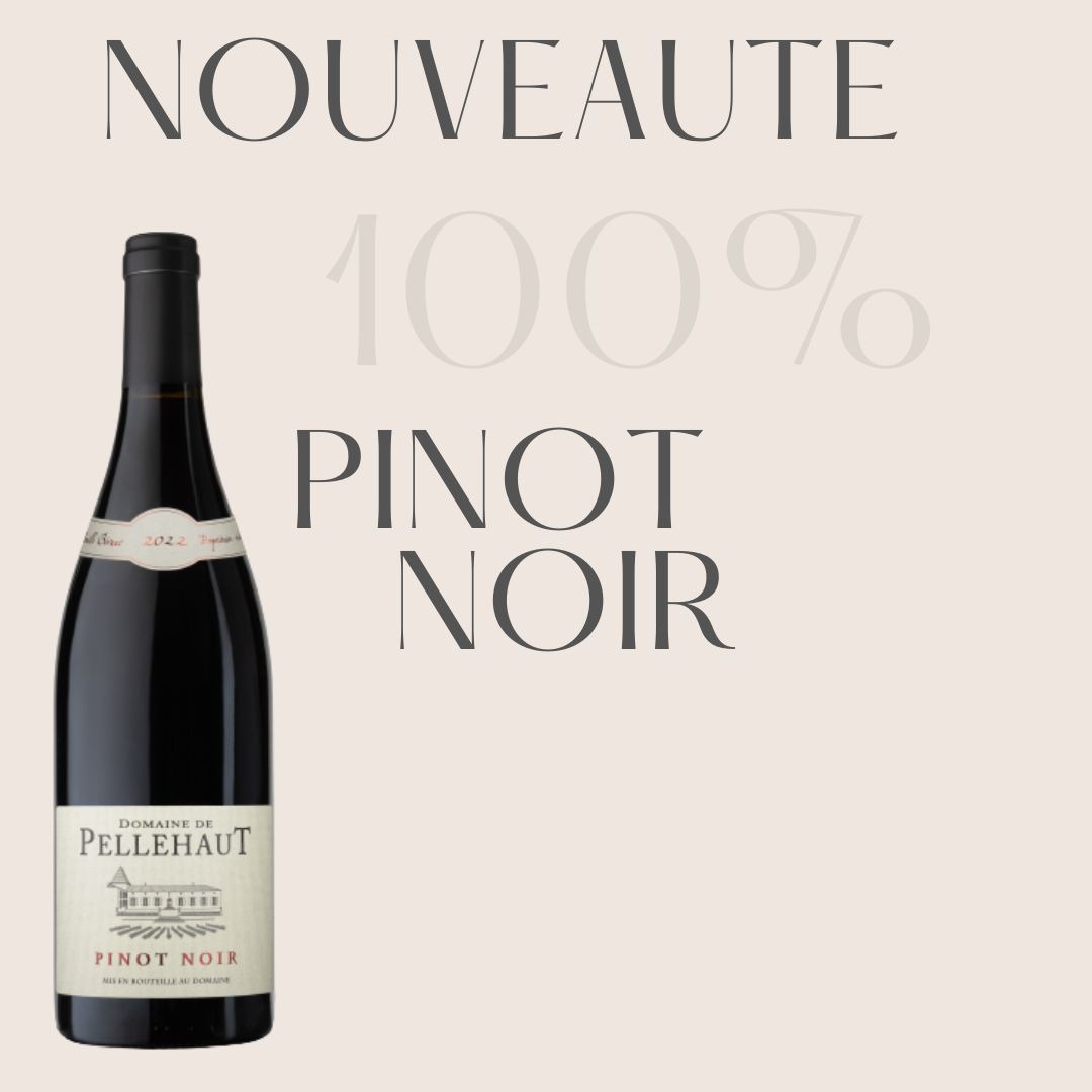 NOUVEAU : Notre cuvée 100% PINOT NOIR !