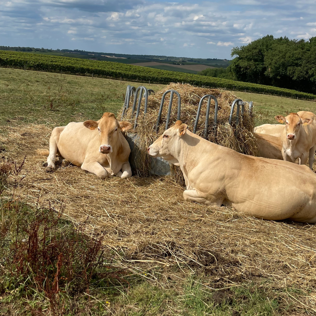 Une agriculture durable